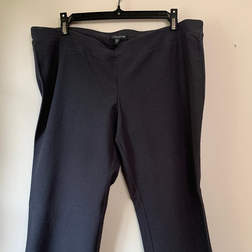 Eileen Fisher PL Flagstone pants.